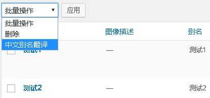 WordPress中文标签批量翻译为英文-李峰博客