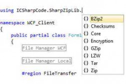 在SharpZipLib中应该选择哪一种压缩类型？