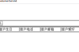 写了一个客户关系管理系统,进行查询的时候值没取到是什么原因