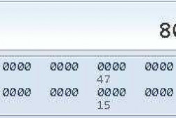 动态内存,分别使用char类型和int类型操作的问题