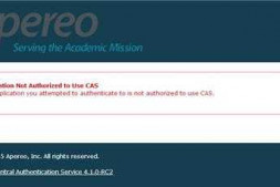 cas sso 客户端调用服务器端提示 Application Not Authorized to Use C