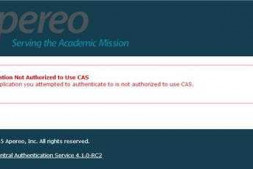 cas sso 客户端调用服务器端提示 Application Not Authorized to Use C