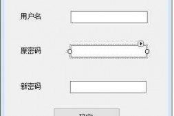 登录界面的修改密码,作业求帮助