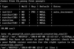 MySQL 用insert插入数据记录,老是提示语法错误,到底哪里出错了?