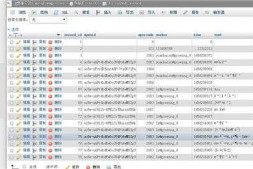 往数据库插入后,数据显示是乱码,并且查询不到数据