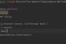 给RecyclerView设置数据出现问题