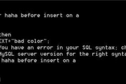 刚开始学MYSQL 讨教个问题