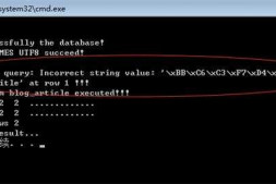 C++往插入中文时,出现错误