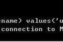 字符串中包含关键字,insert into不成功