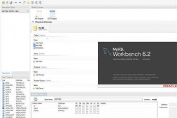 情况MySQL Workbench中设计的数据库 怎么把表结构导出成excel