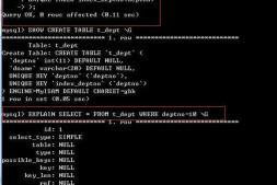 菜鸟EXPLAIN查看索引为空