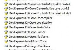 NI 和 DevExpress 都缺库/空间 c#