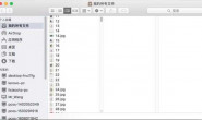 Mac开发中,问一下怎么样编码实现操作finder打开指定目录,谢谢