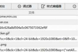 用火狐浏览器调试JAVAWEB项目的时候 到底看哪些东西啊