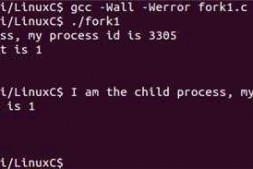 在Linux系统下使用fork() 函数,提示符会在子进程之前运行的原因