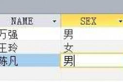 100分,在B/S下怎么样设计出实现对access数据库某个表的某条记录进行更新