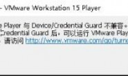 VMware Player 与 Device/Credential Guard 不兼容