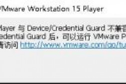 VMware Player 与 Device/Credential Guard 不兼容