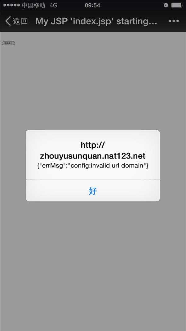 微信sdk的使用出现invalid url domain