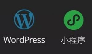 WordPress 使用 WP Super Cache 部分请求传递参数 query_string